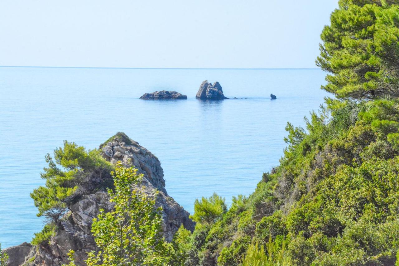 Corfu Appartement Pelekas